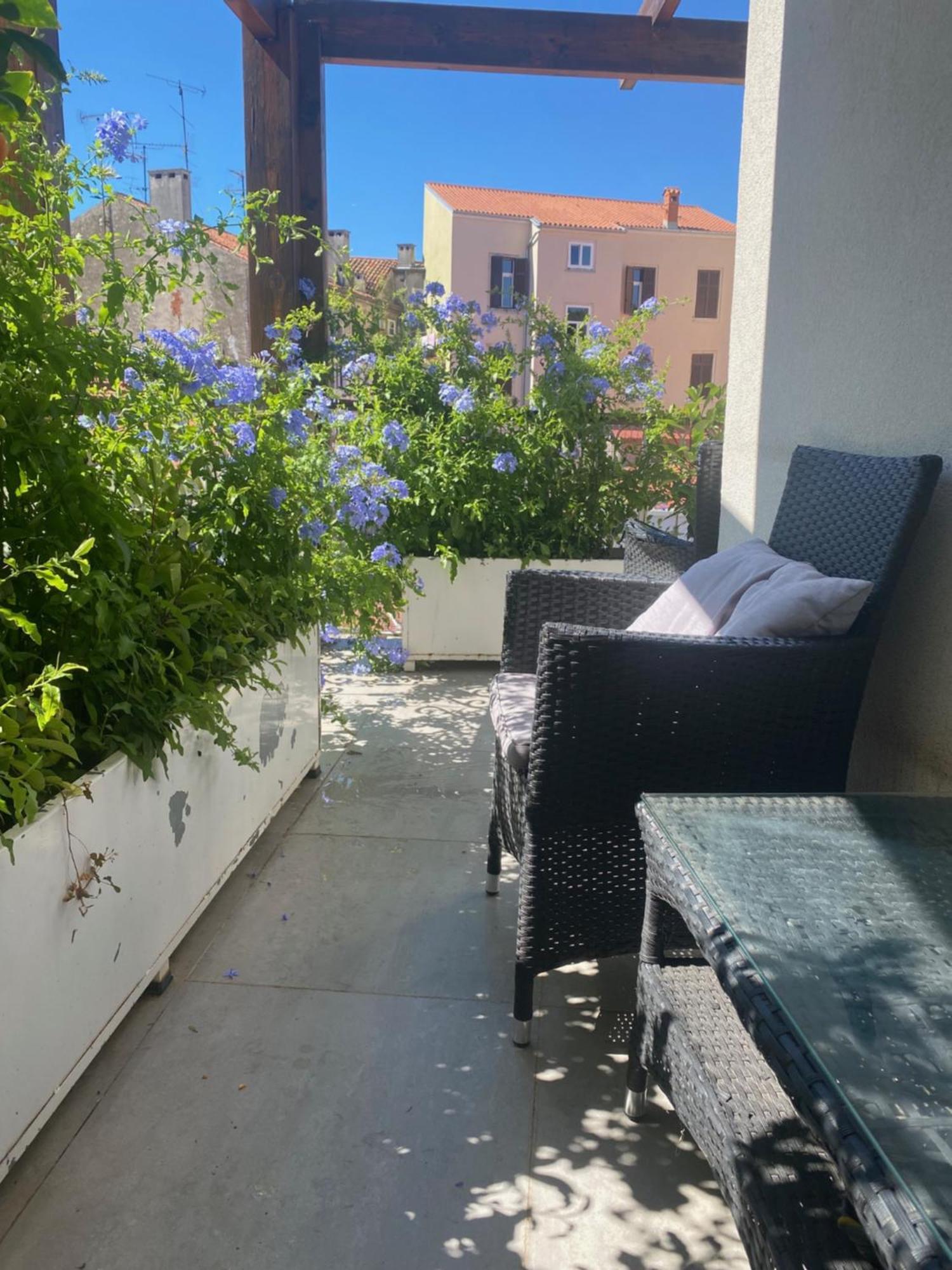 Apartment In Center With Parking
