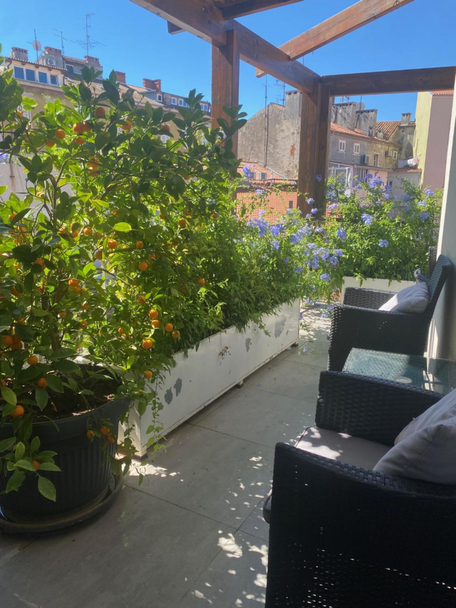 Apartment In Center With Parking *